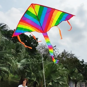 New Design Rainbow Kite ,